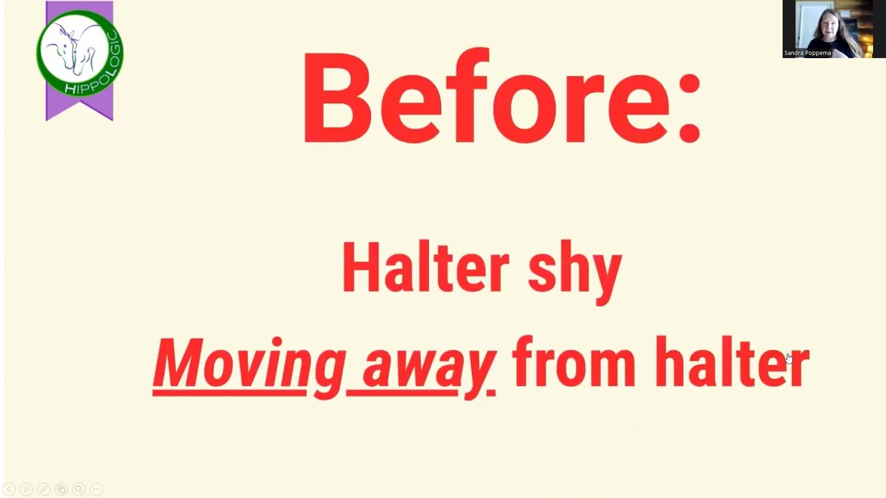 How to halter your Rescue Horse with Consent