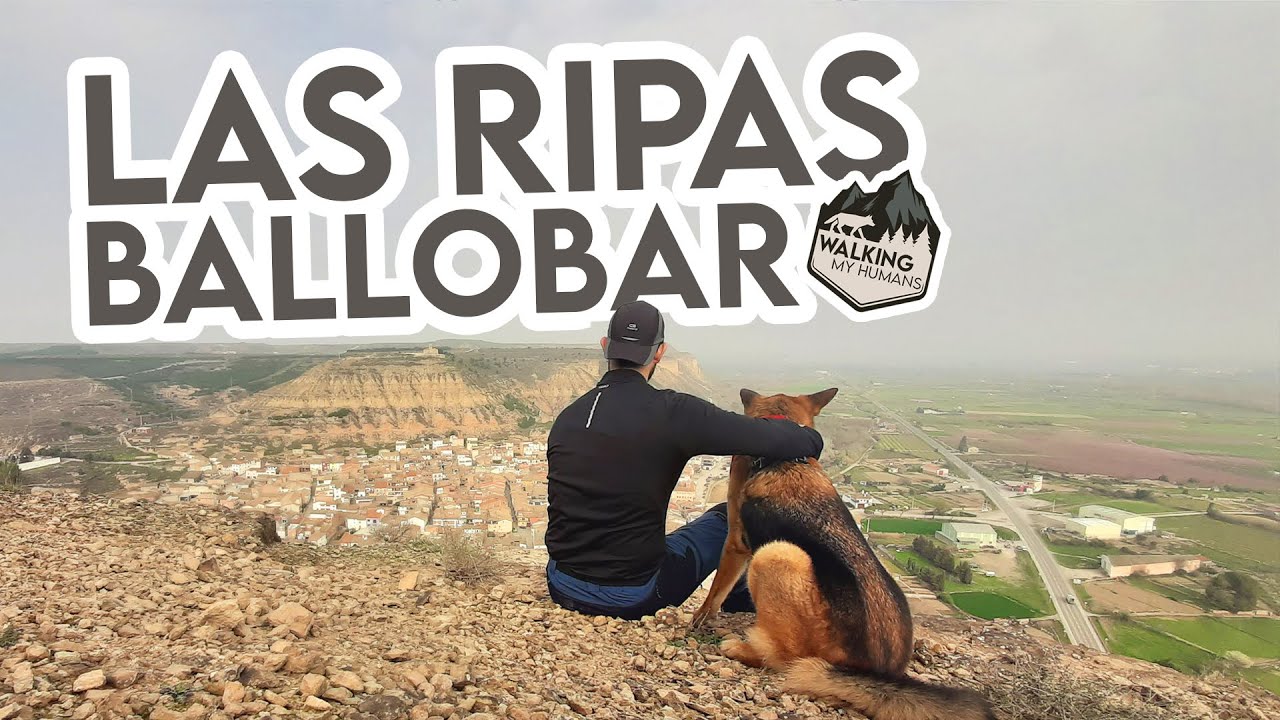 Ruta con perro por las Ripas de Ballobar (Huesca)