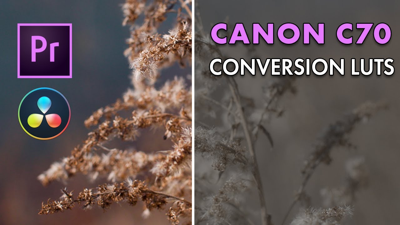 Canon C70 Technical LUTs | In-Depth User Guide and Tutorial