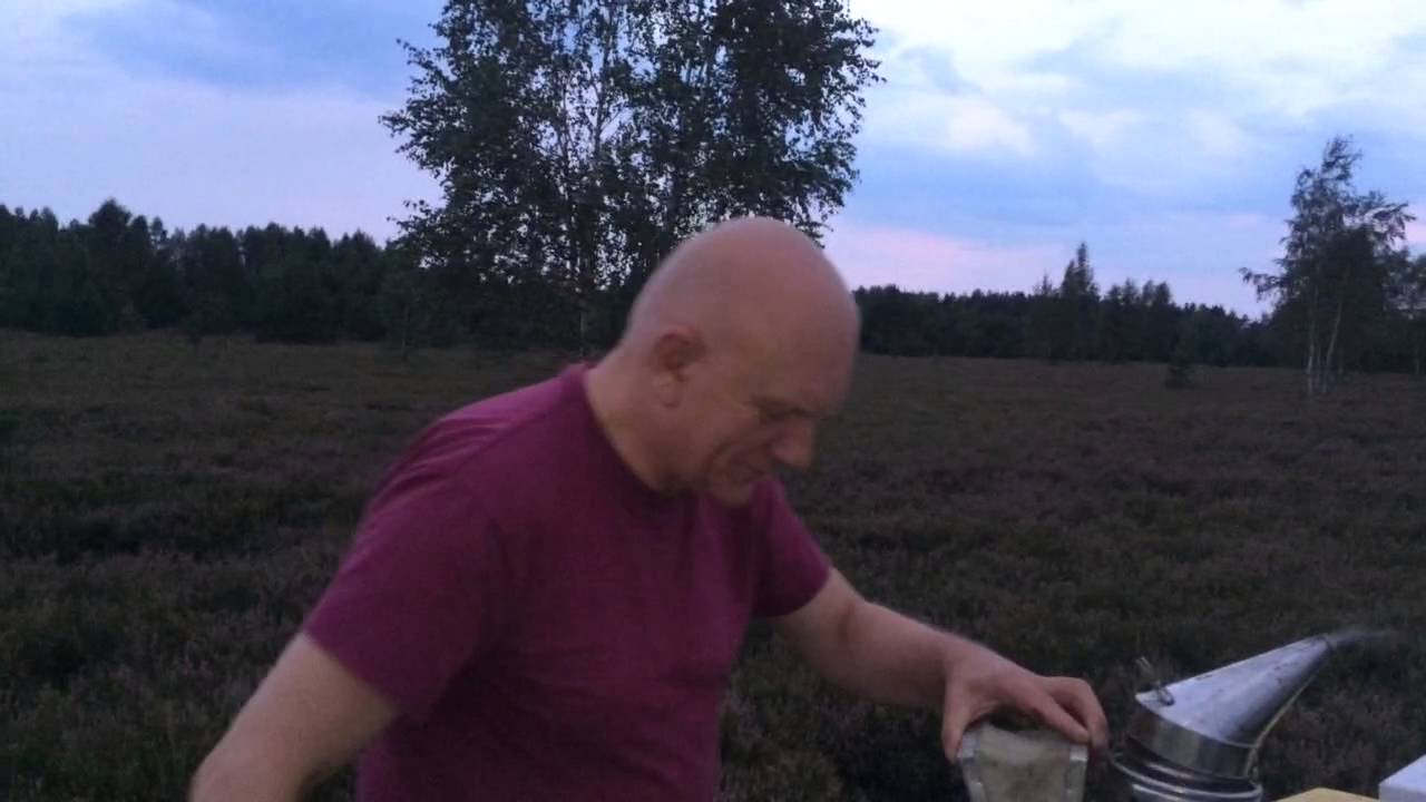 Pasieka Wiesław Grzymała pożytek wrzosowy