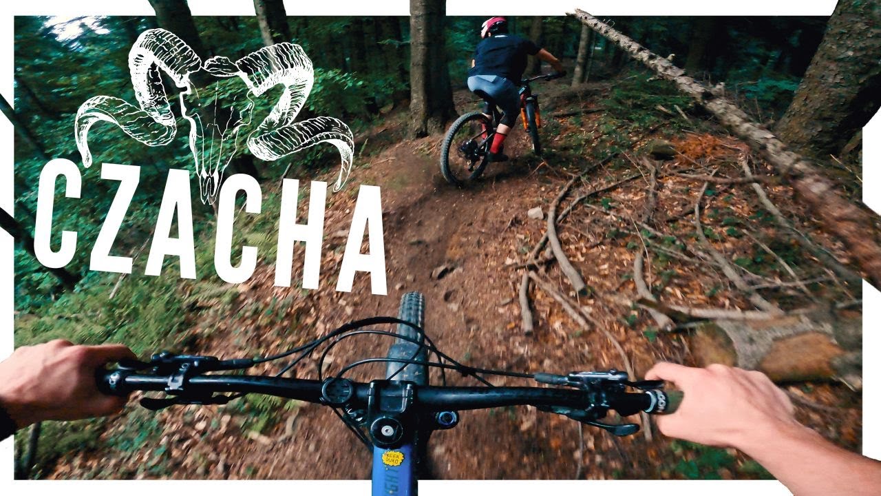 Czacha trail - Nowy singiel w Beskidzie Sądeckim! / Nowy Sącz / Beskid Sądecki / Enduro MTB