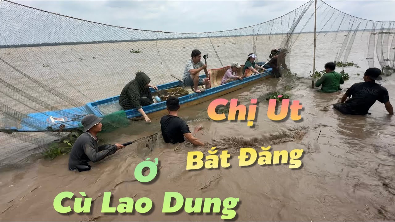 CHỊ ÚT Lần Đầu Tiên về Cù Lao Dung Trải Nghiệp Bắt Đăng | Cldv