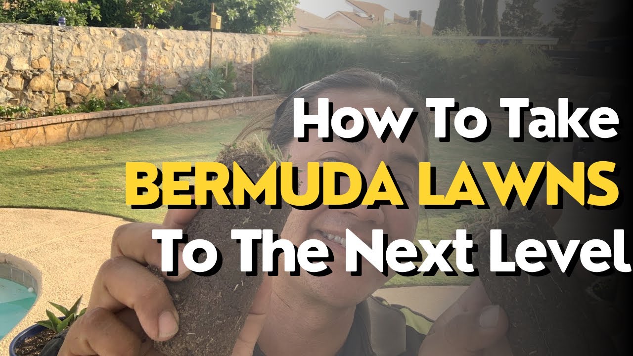 Next Level Bermuda Lawn Care | 2024