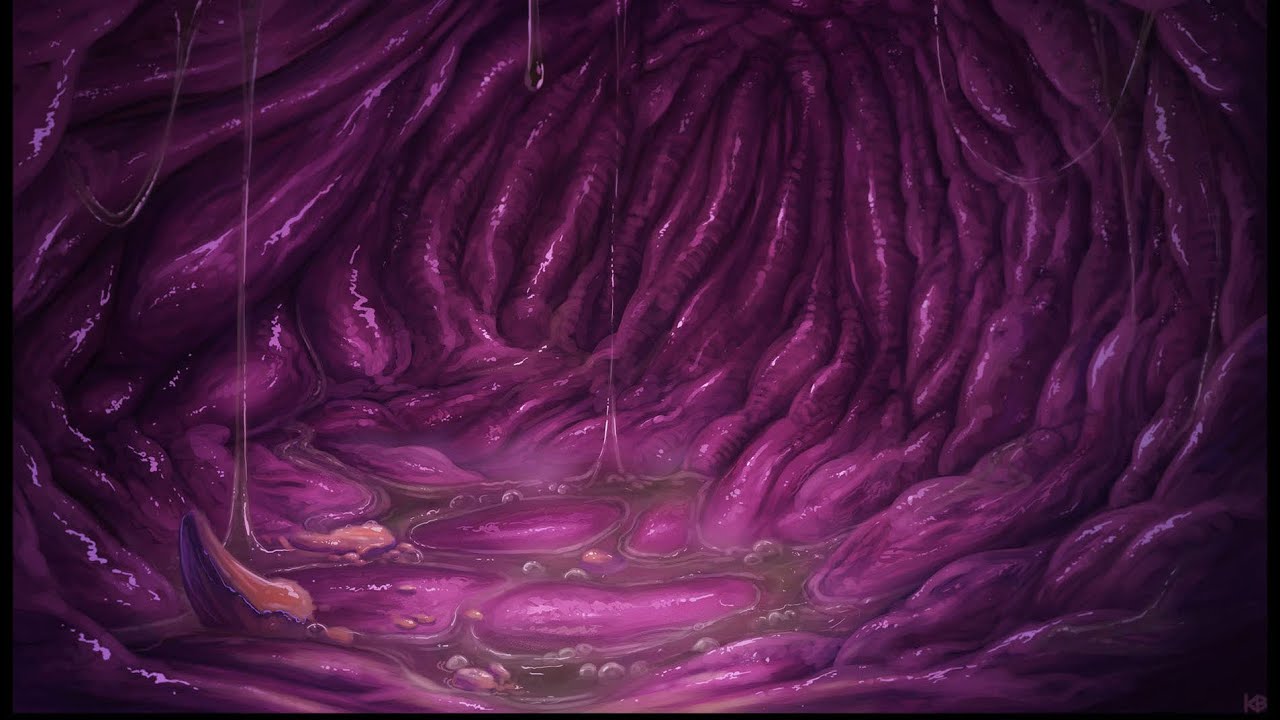 Tummy Rumbles Inside Stomach Audio (ASMR Digestion with Heartbeat)