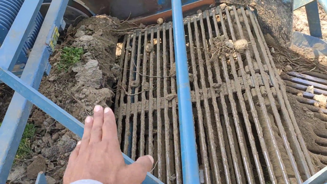 massey241 के साथ आलू खुदाई की सबसे अच्छी मशीन कौन सी होती है देखो