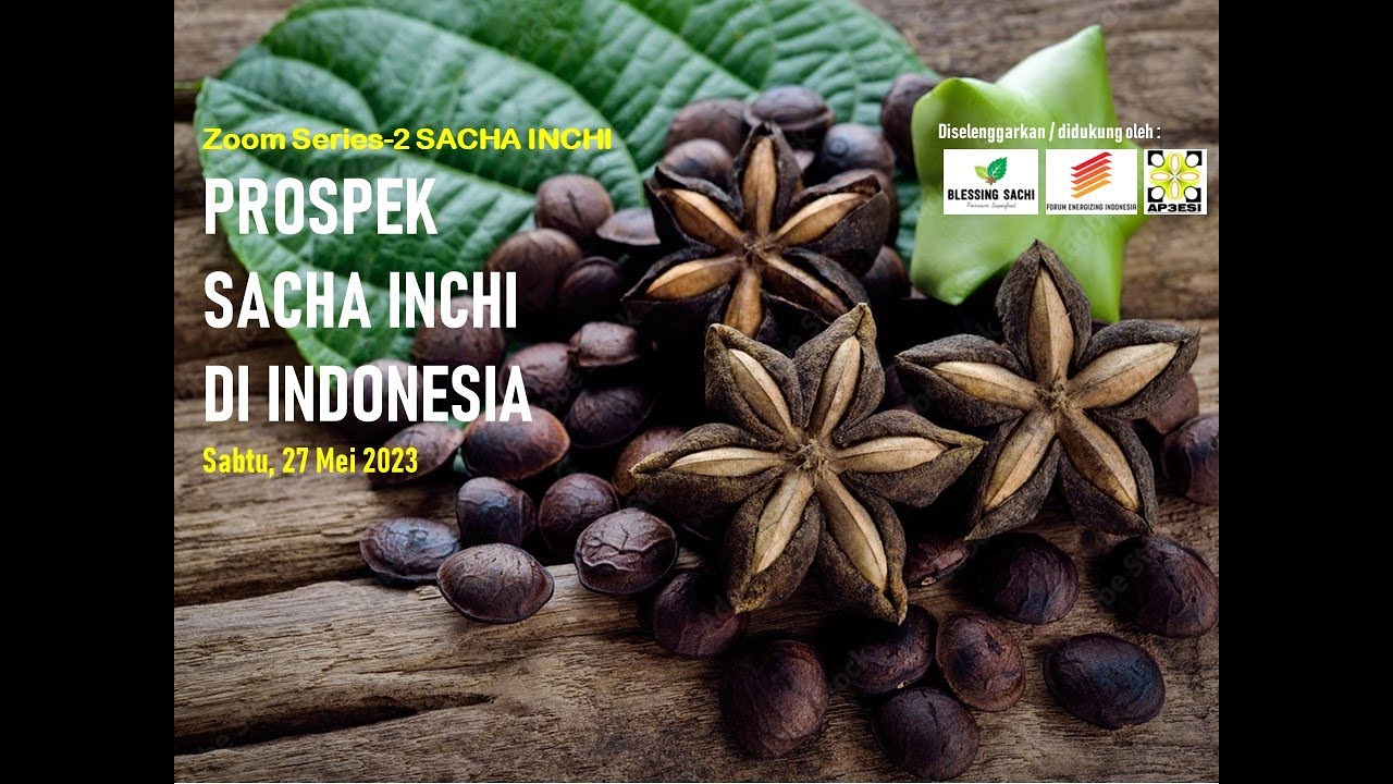 Zoom Series-2 - Superfood Sacha Inchi