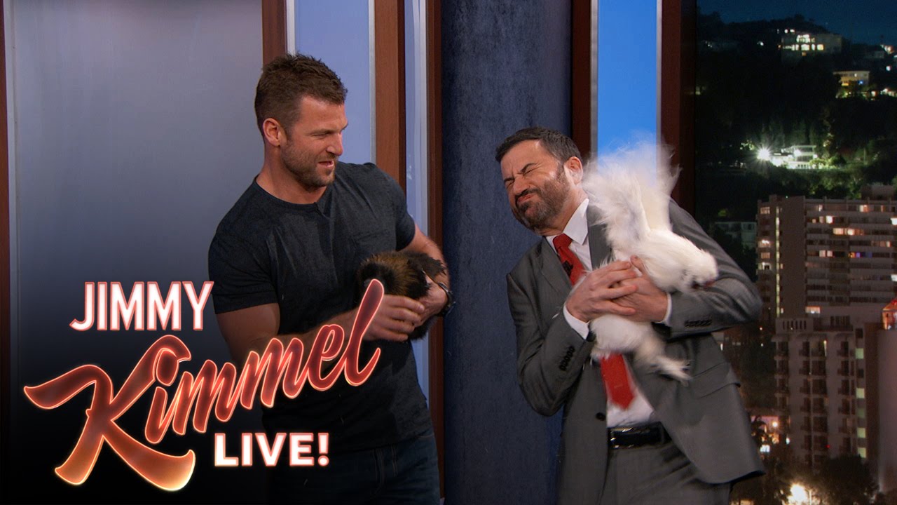 Wild Animals with Dave Salmoni