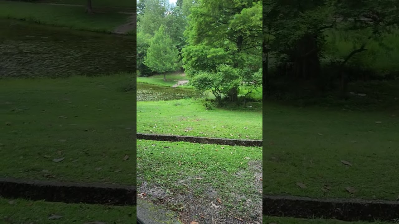 Damon and Elena Rain Kiss Location (The Vampire Diaries)