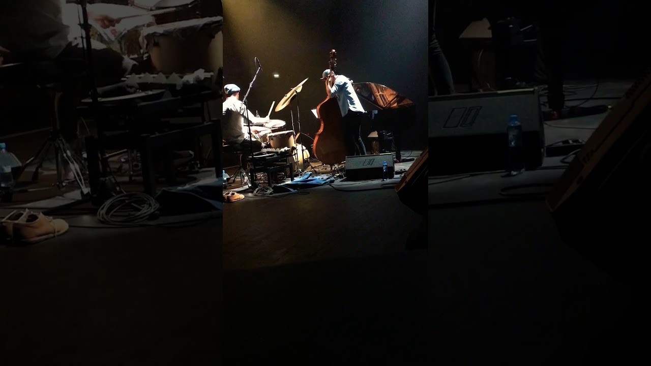 New River, New Water - Shai Maestro Trio