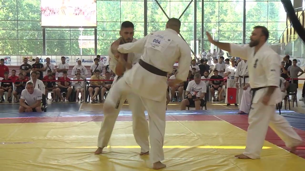 Adrian Nicolae Romania KI  vs Vasil Dimitrov Bulgaria KWU Senshi
