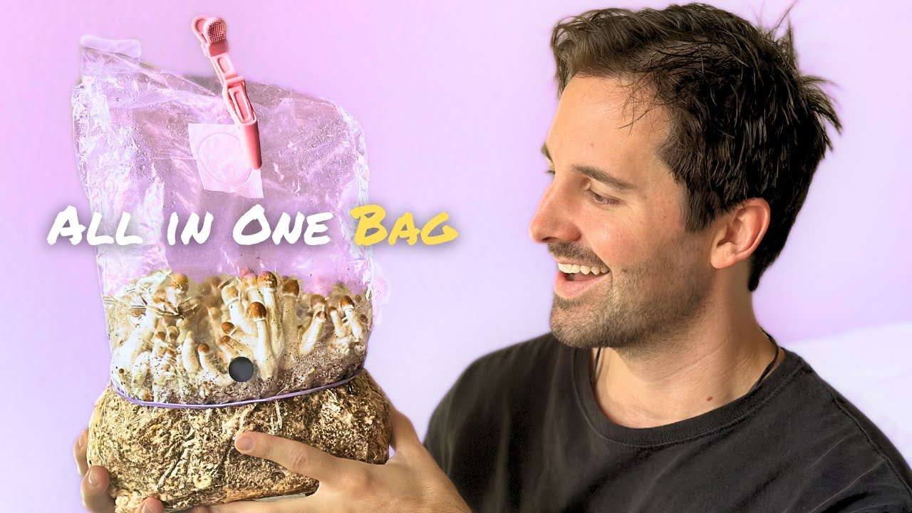 Make Your Own Mushroom Kit at Home (Easy All-in-One Bag)