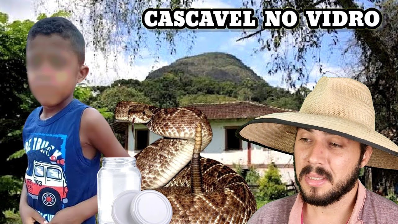 A Cascavel no vidro de Pepino esperando por 4 anos o menino