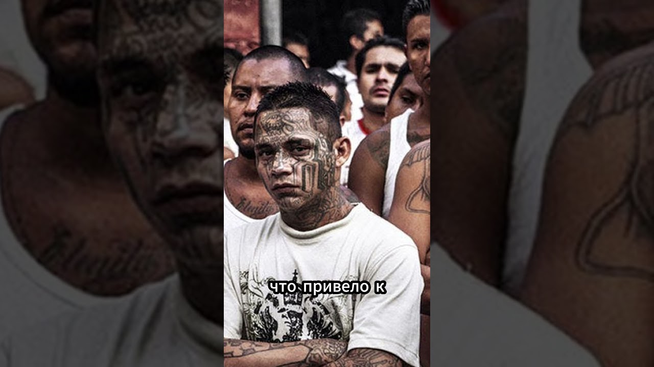 MS-13. Как родилась самая жестокая банда