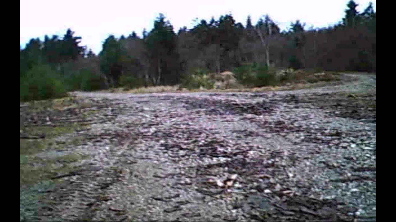 kleine Tour um Werlau.WMV