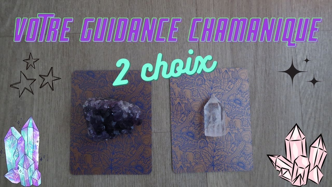 ✨🪶VOTRE GUIDANCE CHAMANIQUE INTEMPORELLE 🍀2 CHOIX✨🦋