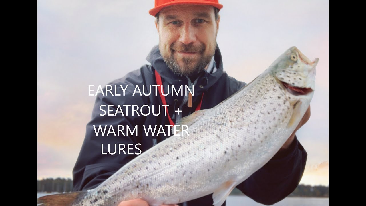 EARLY AUTUMN SEATROUT + Lures for warm water 2020 - Alkusyksyn meritaimen ja lämpimän veden vieheet
