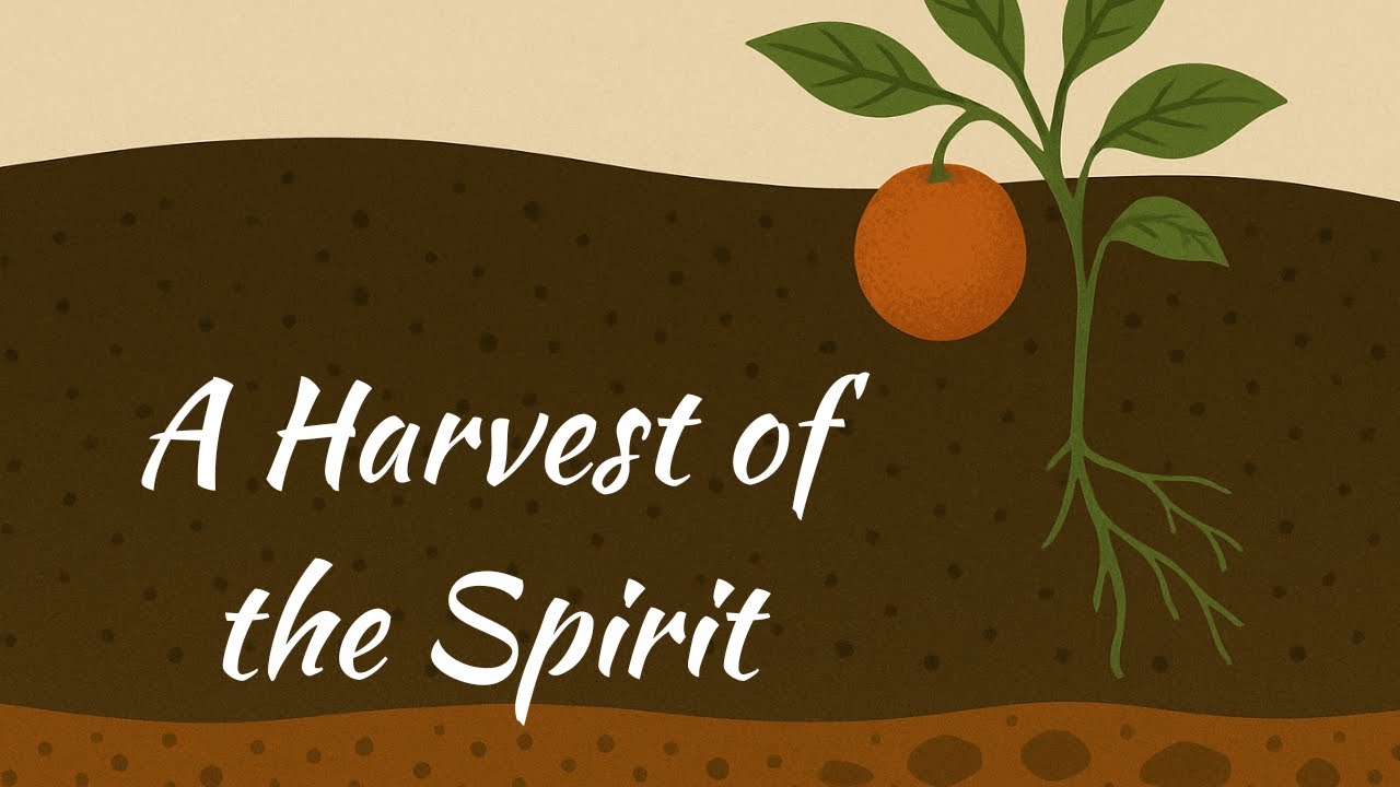 A Harvest of the Spirit