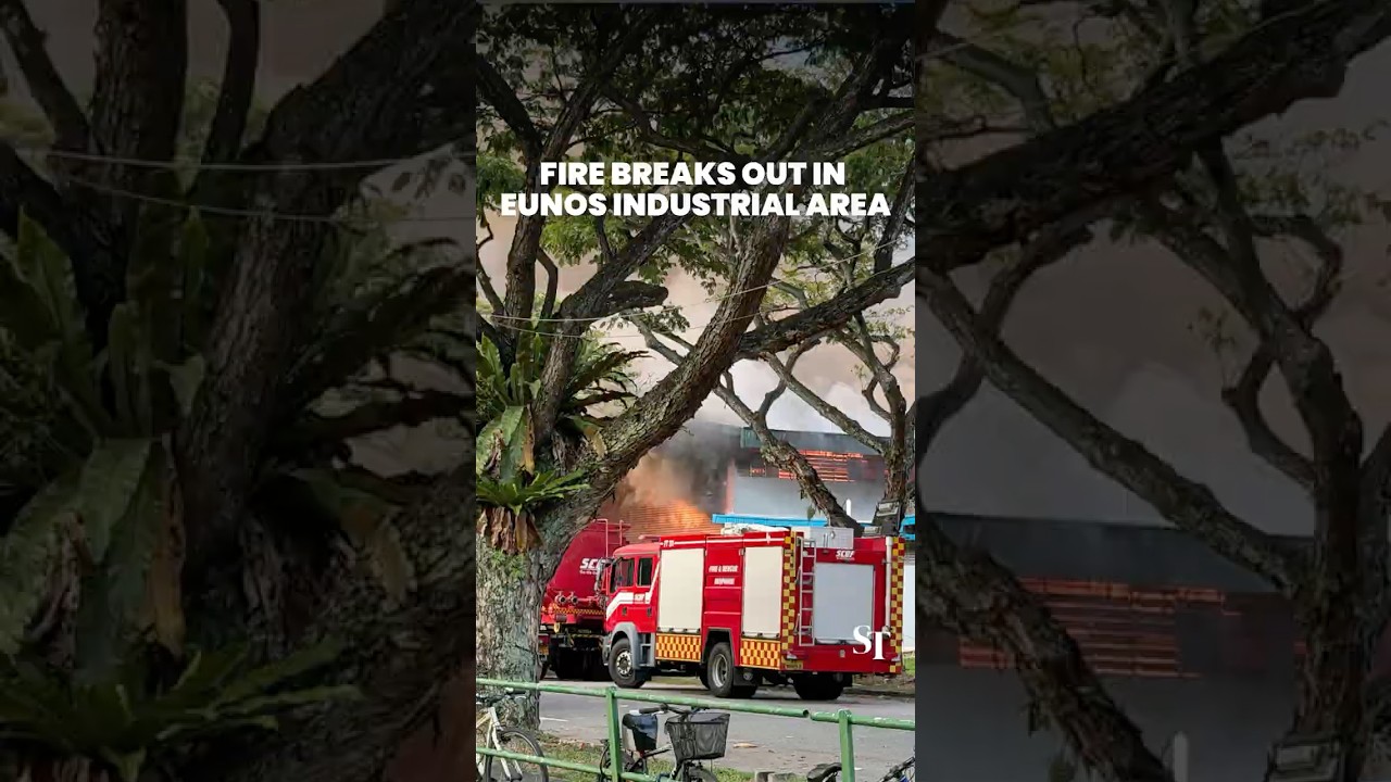 Fire breaks out in Eunos industrial area
