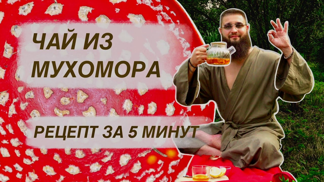 Как заварить чай из мухоморов? И что будет после...