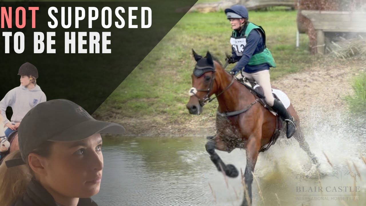 Свободная лошадь, изменившая всё | Блэр 4★ Подиум