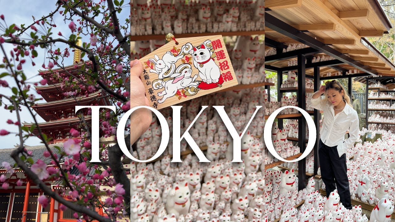 visiting the famous LUCKY CAT gotokuji temple | 🇯🇵 japan travel vlog