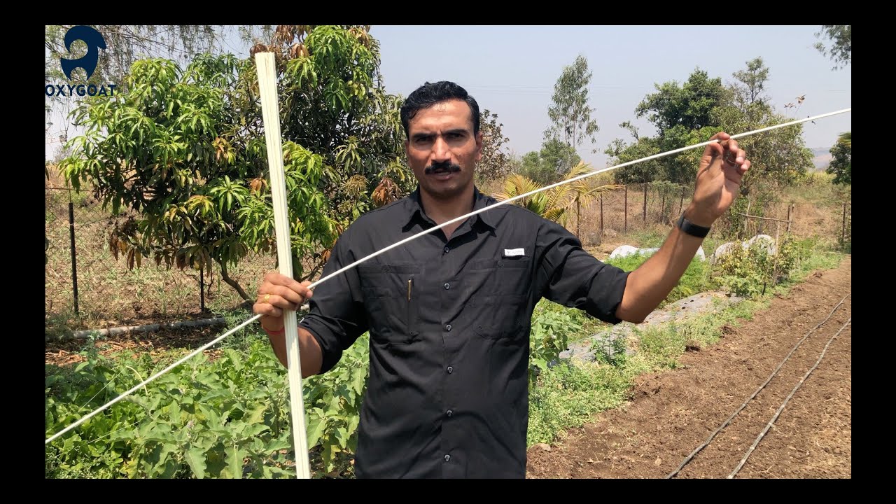 Low tunnel for Organic farming