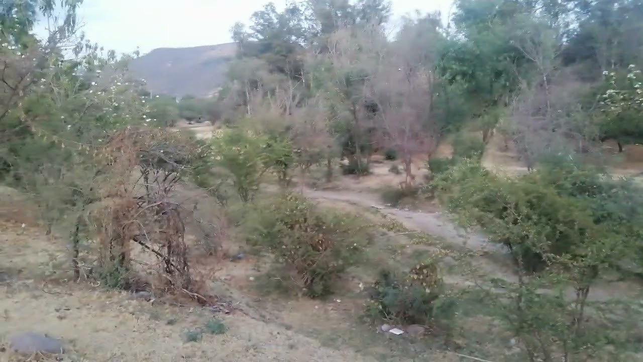Rincón Camino a Ibarrilla | León, Gto.