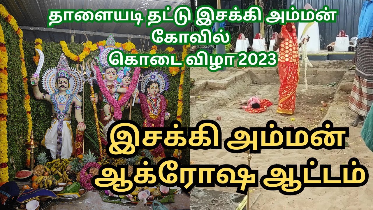 இசக்கி அம்மன் ஆக்ரோஷ ஆட்டம் | சுபா மணி வில்லிசை | தாளையடி தட்டு இசக்கி அம்மன் கோவில் கொடை விழா 2023