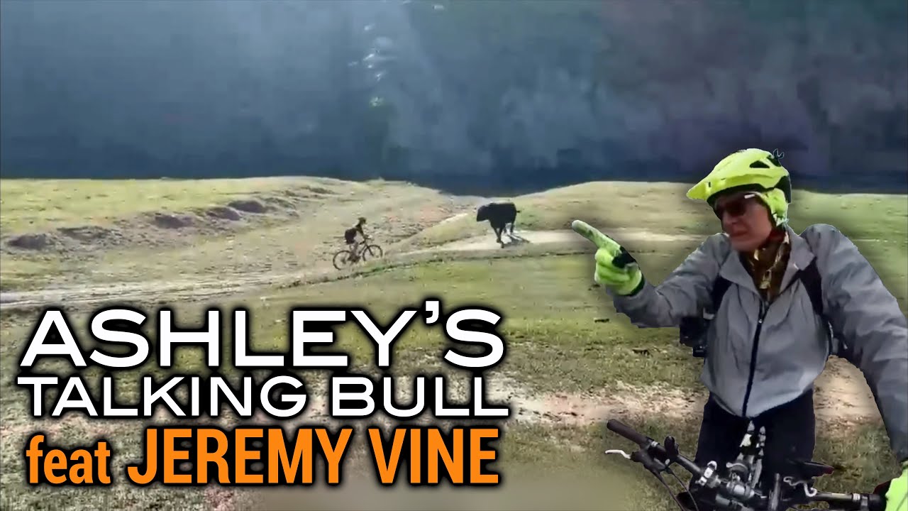 Down The Inside | Talking Bull