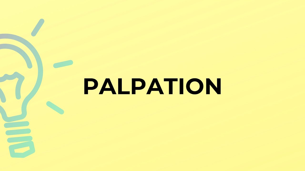 What is the meaning of the word PALPATION?