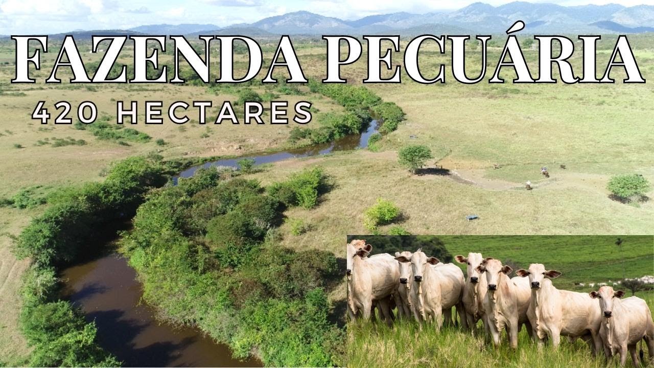 Fazenda Pecuária de 420 Hectares. R$ 6.300.000,