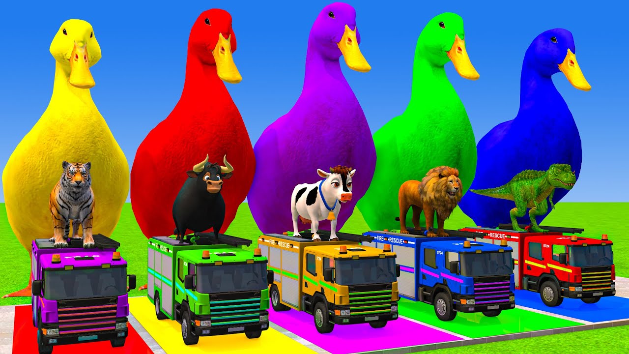 Long Slide Game With Cow Elephant Gorilla Hippopotamus Tiger 3d Animal Game Funny 3d Animals