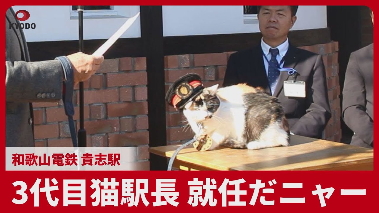 3代目猫駅長 就任だニャー 和歌山電鉄 貴志駅