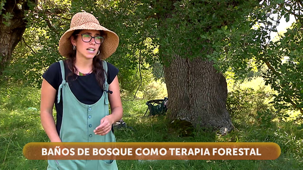 Terapia de baños de bosque