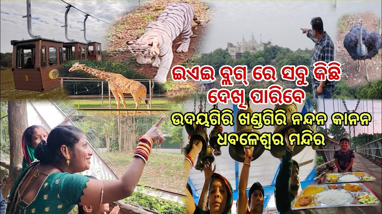 ଇଏଇ ବ୍ଲଗ୍ ରେ ସବୁ କିଛି ଦେଖି ପାରିବେ ଉଦୟଗିରି ଖଣ୍ଡଗିରି ନନ୍ଦନ କାନନ ଧବଳେଶ୍ଵର ମନ୍ଦିର @odia vlogs 