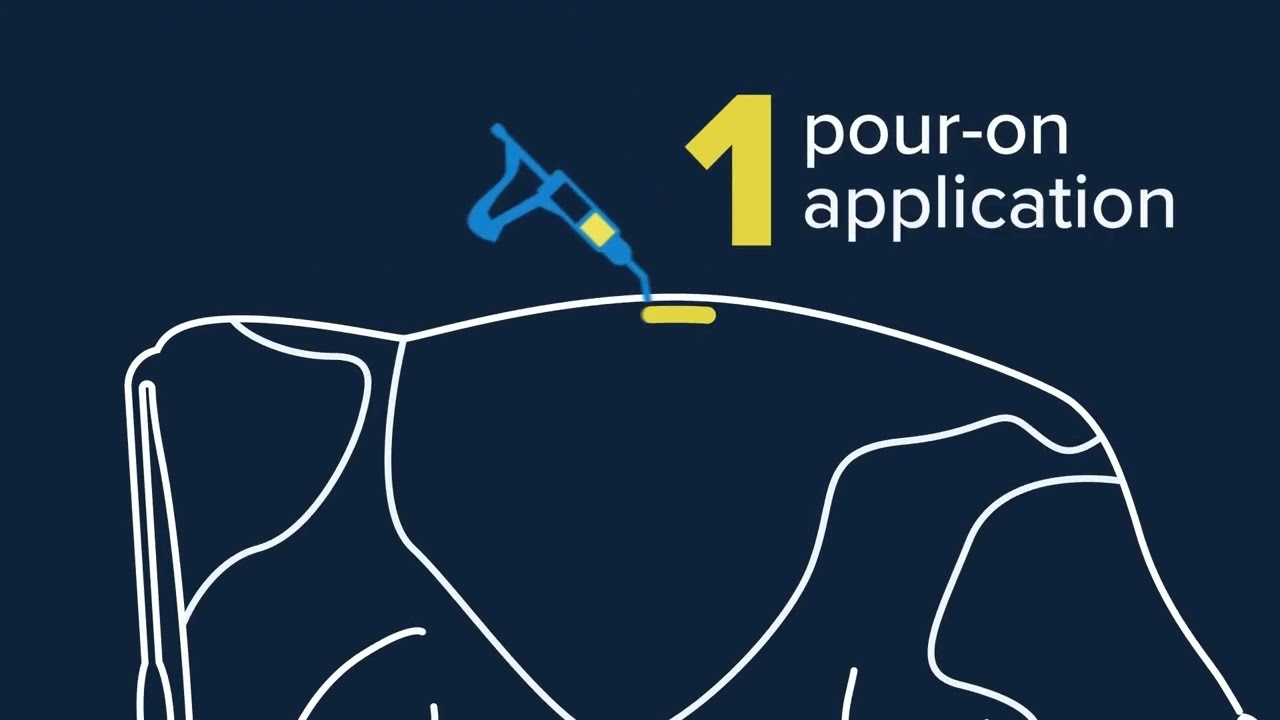 Why you should be drenching with Eprinex