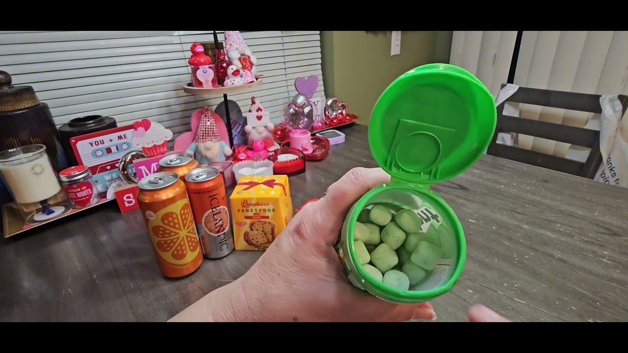 ASMR GUM CHEWING DOLLAR TREE HAUL **01/15/25**
