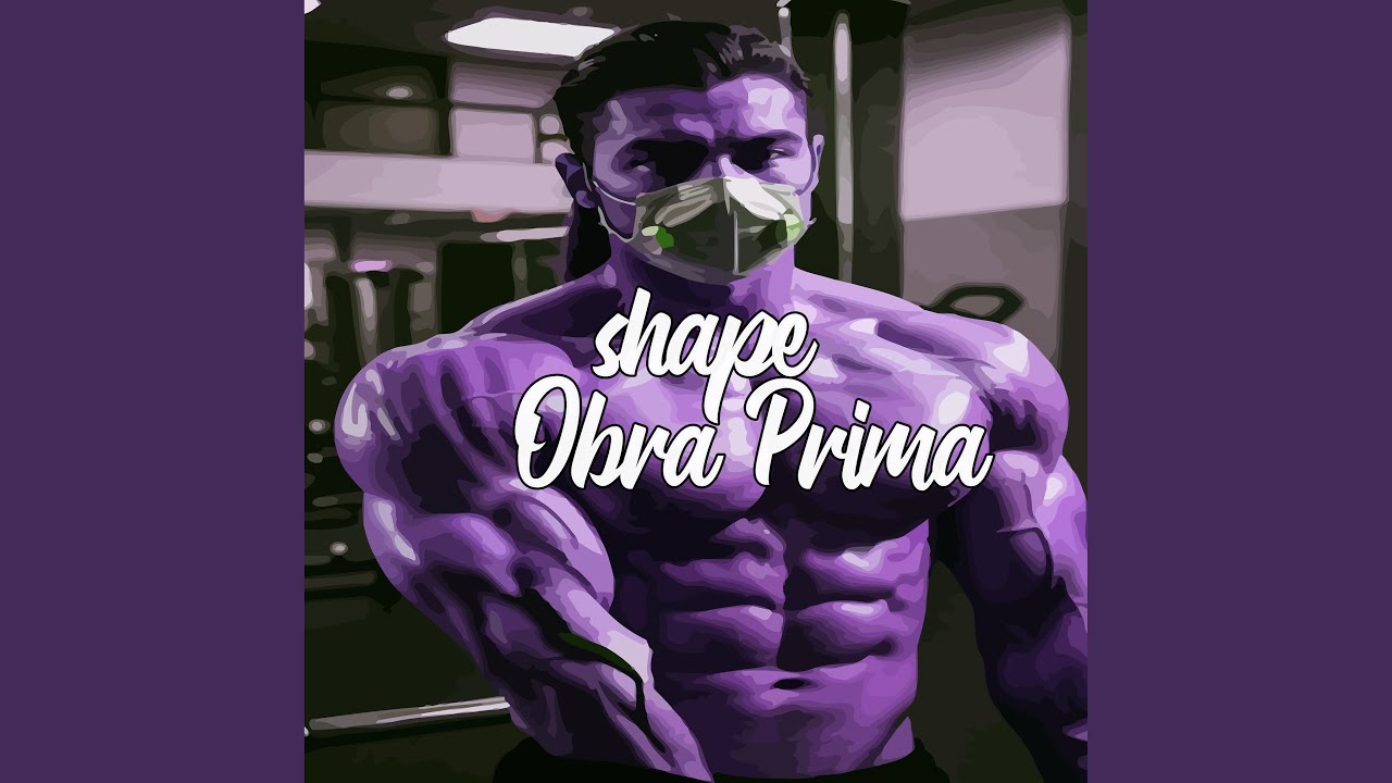 Shape Obra Prima