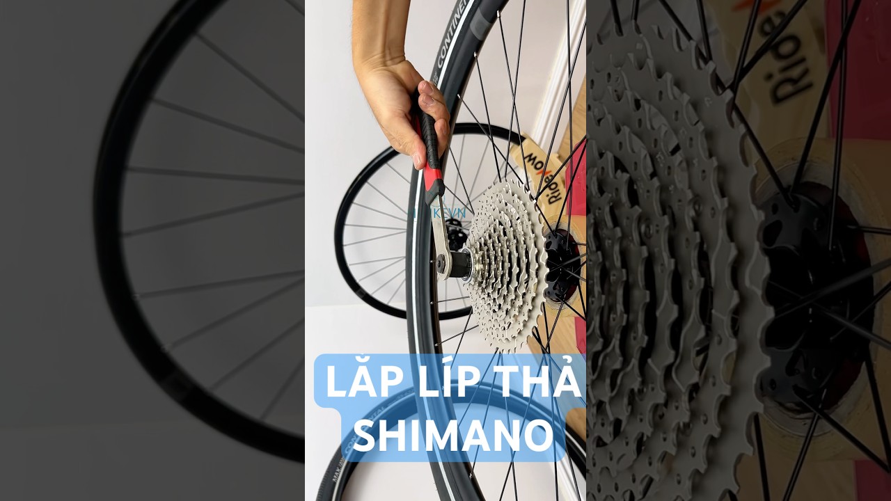 Lắp L&iacute;p Thả Shimano V&agrave;o Hub KOOZER 350 Ratchet 40T #xedap #suachuaxedap #koozer