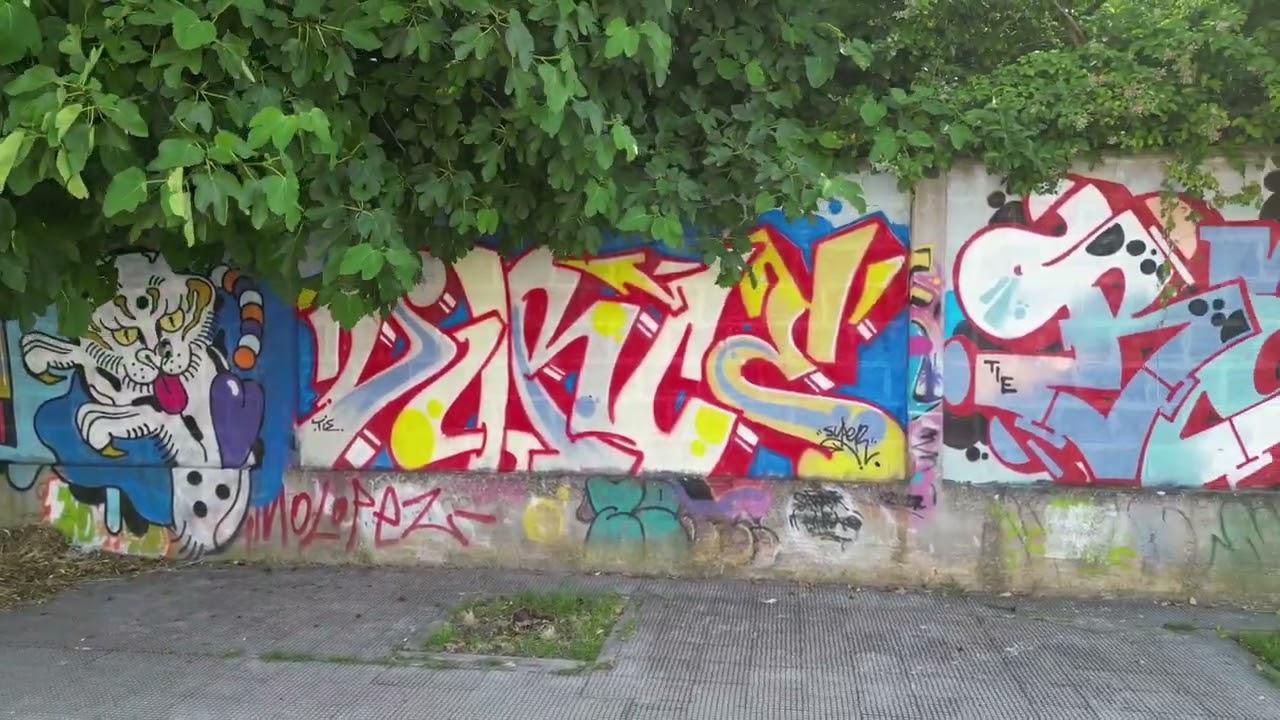 Graffiti ad Acquaviva delle fonzies