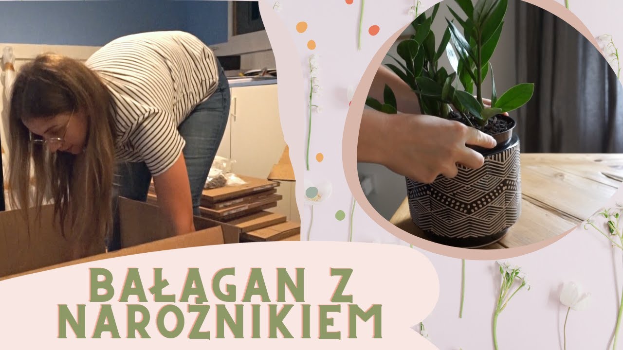 Nasz nowy narożnik zaginął
