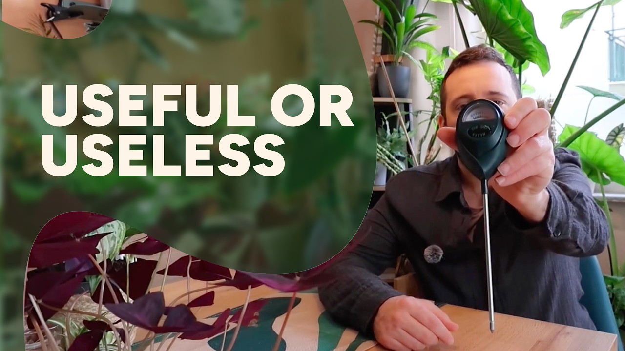 Why your Moisture Meter might be lying to you