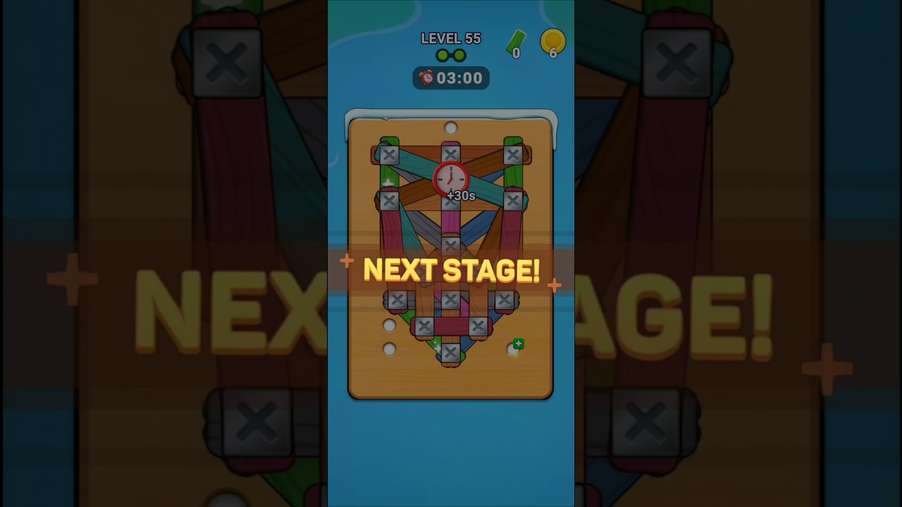 Wood Screw Puzzle Lv. 55