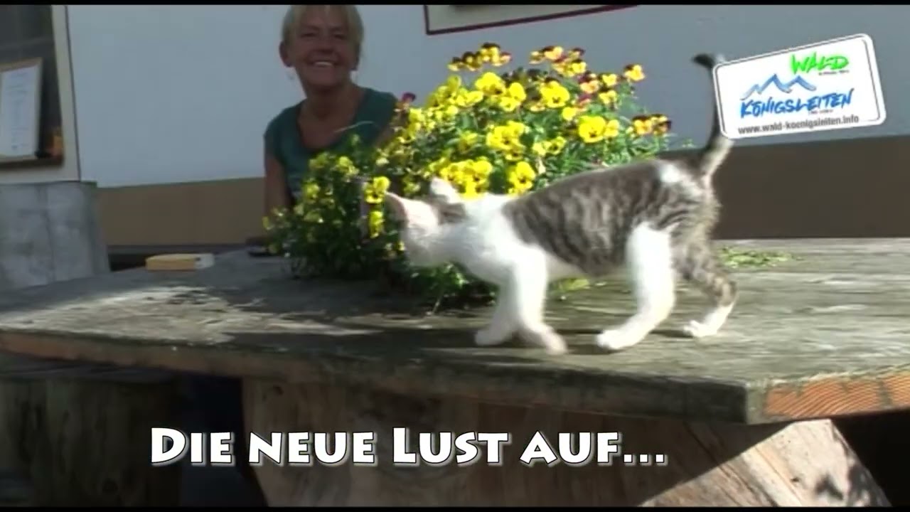 HOHE TAUERN  Königsleiten Aktiv, Betriebe, Handel