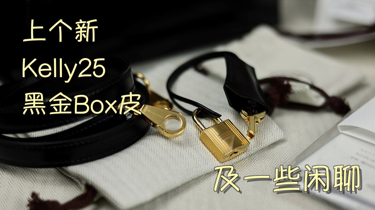 Vlog1249爱马仕黑金Box皮 Kelly25｜溢价概率大的几款皮革
