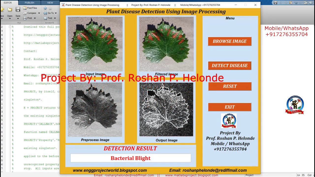 Plant Disease Detection Using Image Processing | Plant Disease Detection Using Deep Learning Matlab