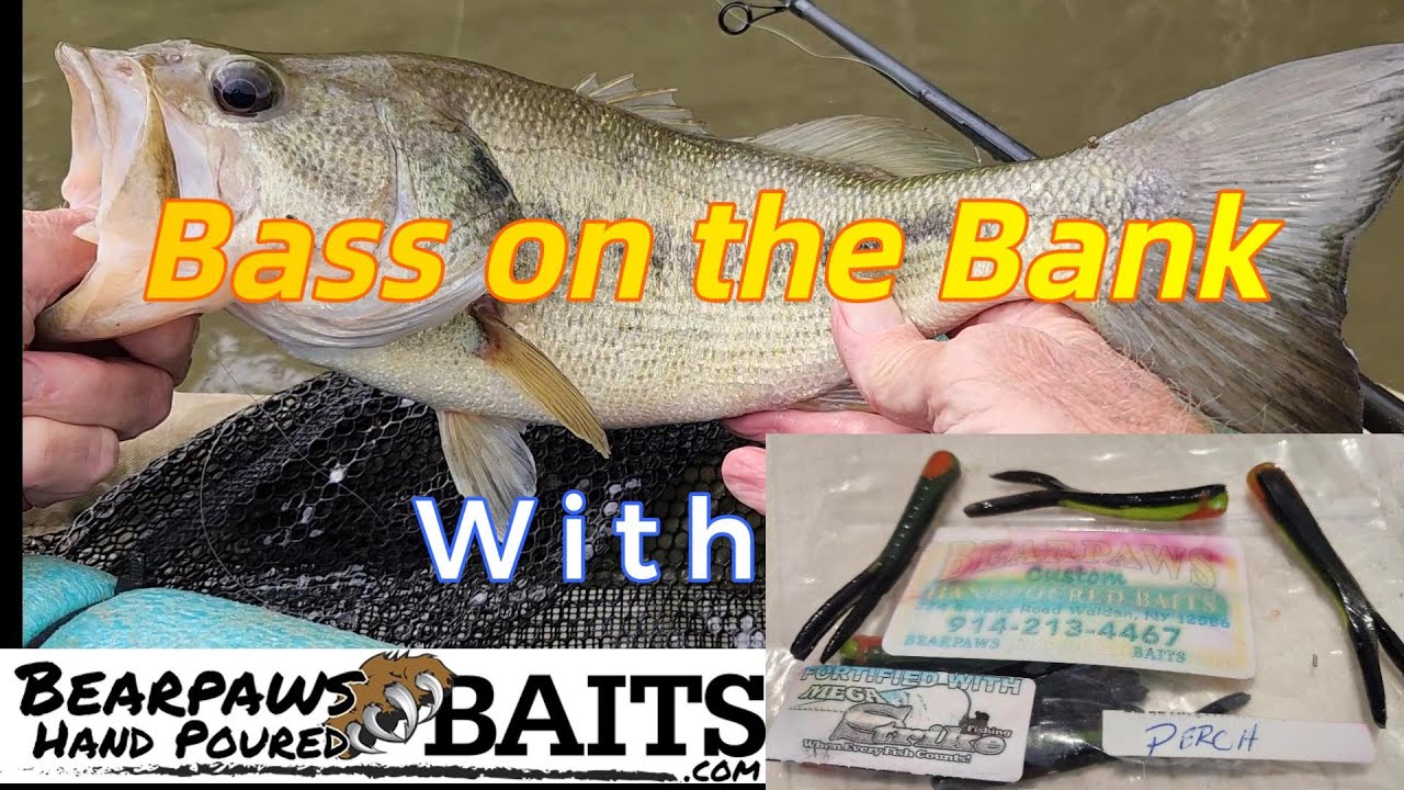 Bass on the Banks (Bear Paws Split Tails) Late April 2025
