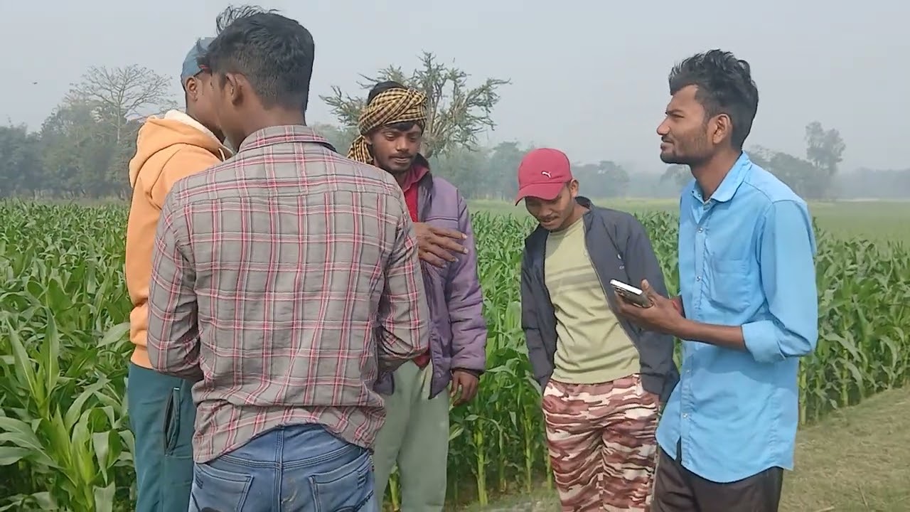 #comedy