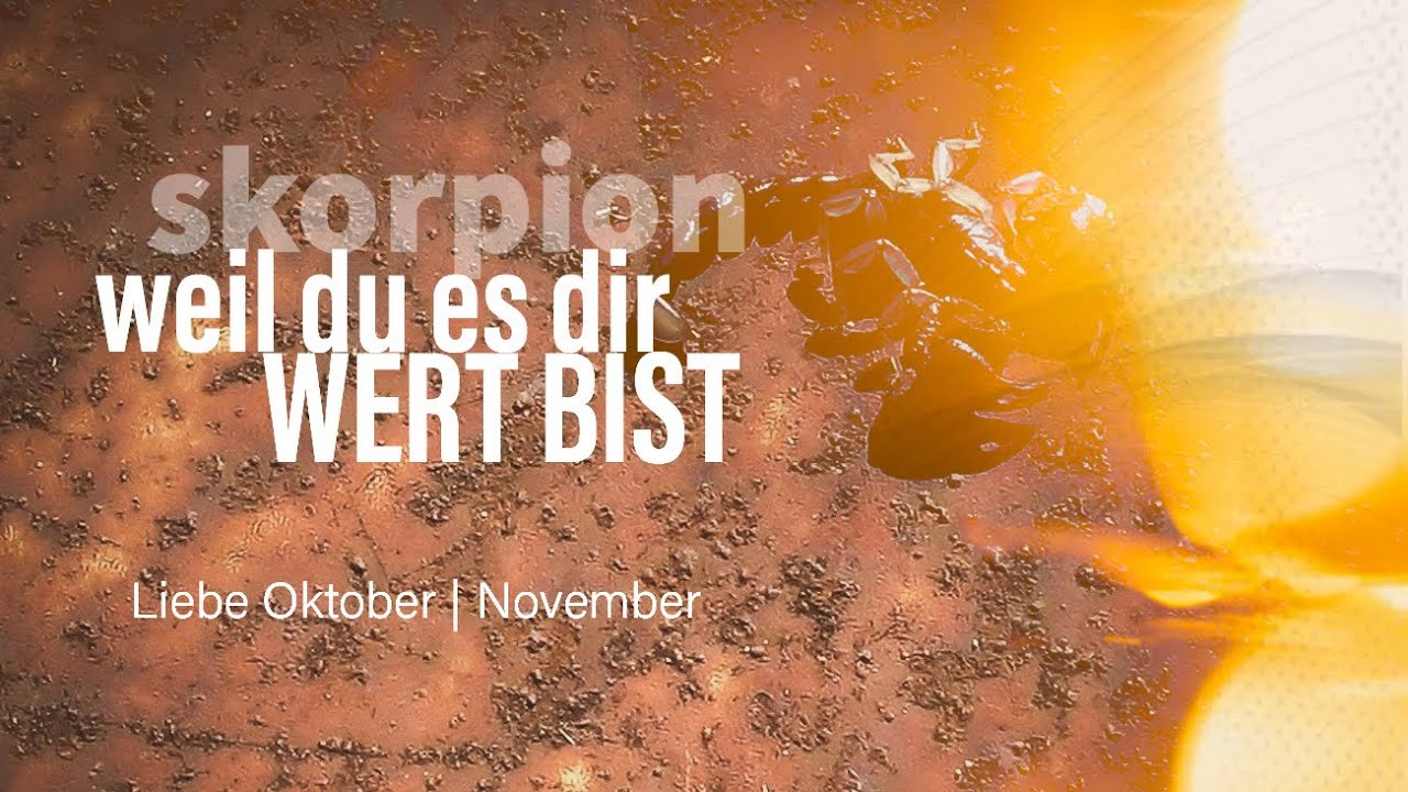 Skorpion Liebe Oktober | November: Weil du es dir wert bist💖❤️