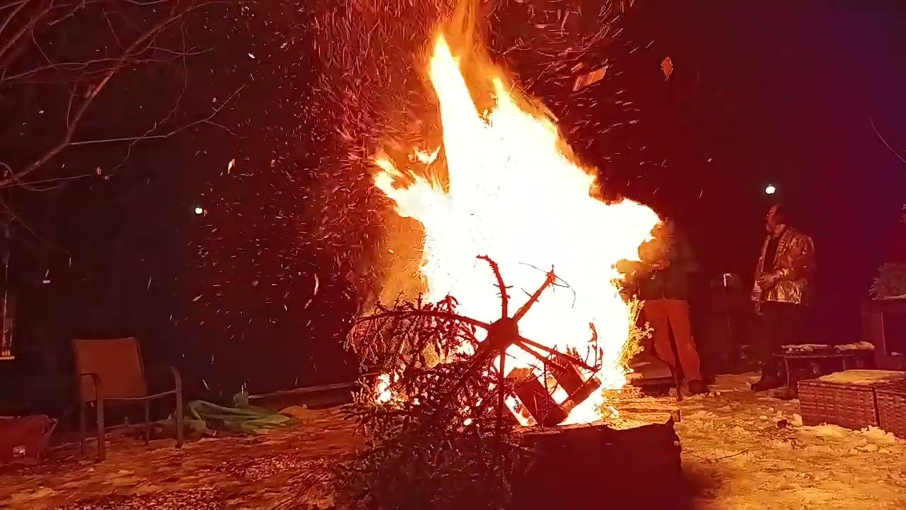 Evergreens burn so beautifully